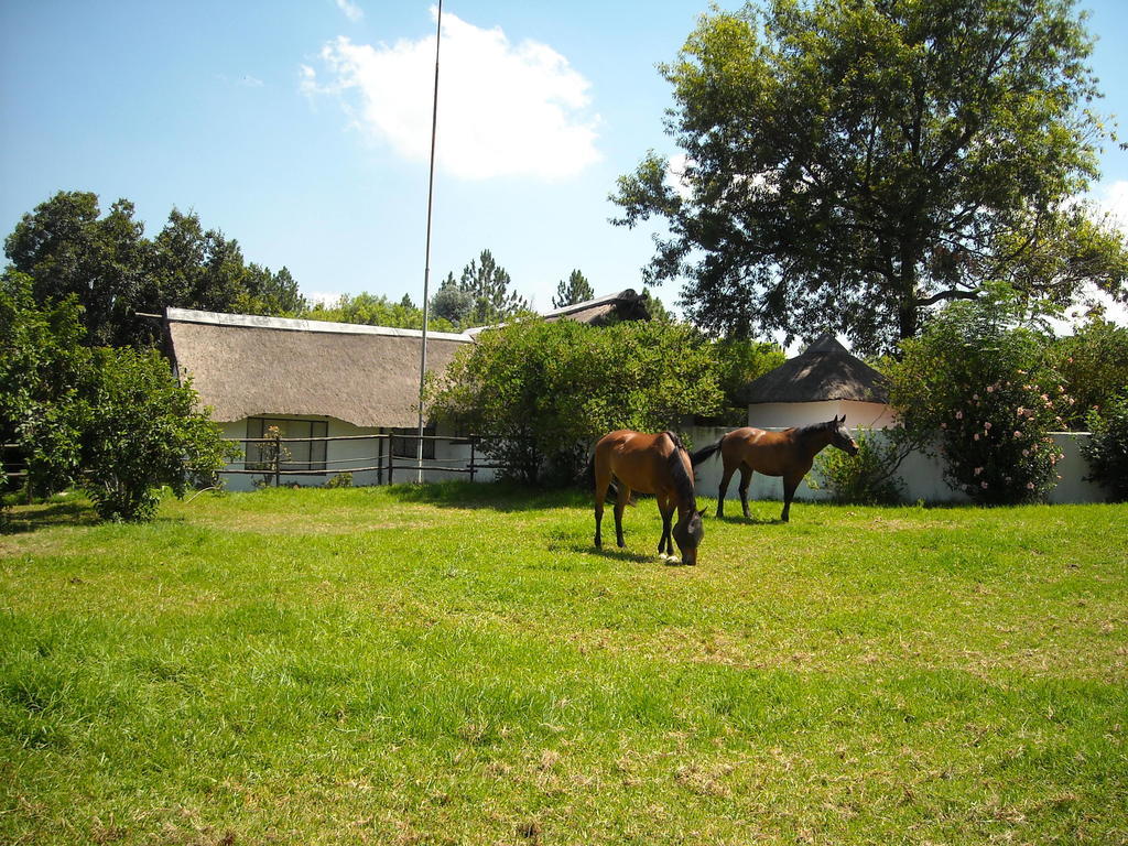 Pine Tree Lodge Midrand Exterior photo